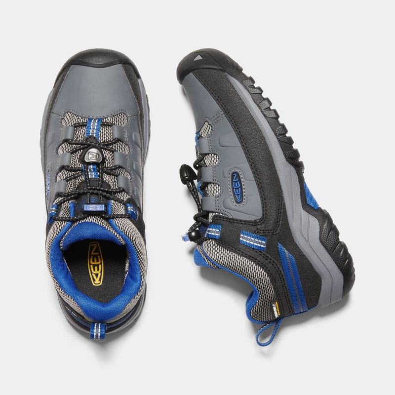 Zapatos Trekking Keen Targhee Waterproof Para Niños Grises/Azules - Zapatos Keen Mexico (825193-TWE)